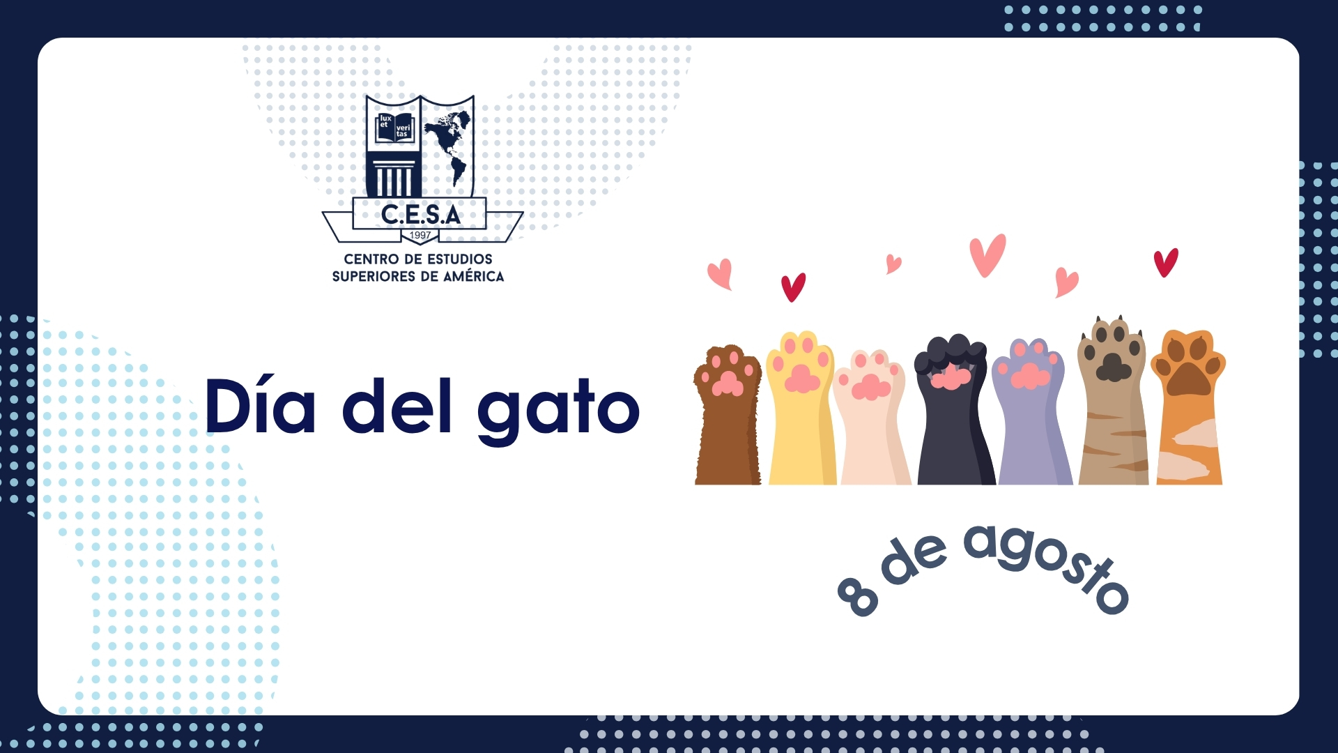 slideshow banner
